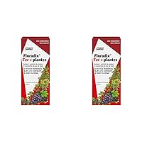 Floradix Liquid Iron and Vitamin Formula 250ml (Pack of 2)