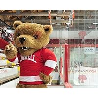 Brown bear REDBROKOLY Mascot with a red and white sweater
