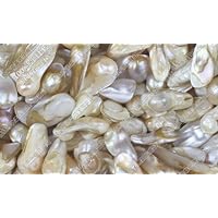 Supply 100% RAW Natural Real Pearl 900 Grams (Nearly 2 LB), Genuine