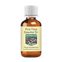 Pure Thuja Essential Oil (Thuja occidentalis) Steam Distilled 5ml