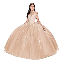 Women's Spaghetti Strap Sweetheart Quinceanera Dress Lace Applique Ball Gown Dress