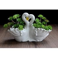 Funnuf Cute Animal White Ceramic Succulent Cactus Flower Planter for Home Garden Office Desktop, 1pcs, swan Couple