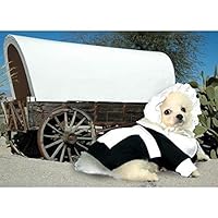Dog Costume Pilgrim Girl Costumes Dress Your Dogs for Thanksgiving(Size 5)
