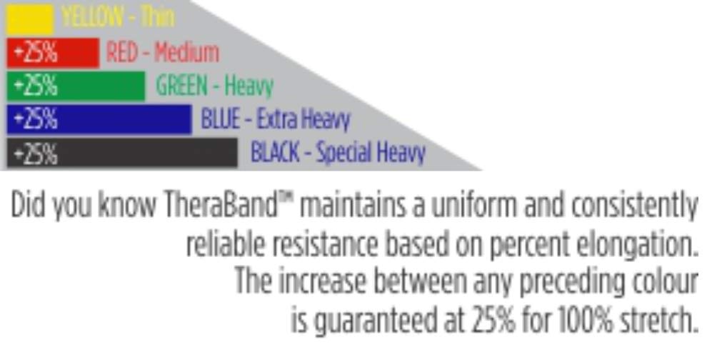 THERABAND Resistance Band Set, Professional Elastic Bands for Upper & Lower Body & Core Exercise, Physical Therapy, Lower Pilates, At-Home Workouts, and Rehab, 5 Foot, Blue & Black, Advanced