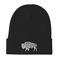 Native Lands Clothing Company Beanie Bison Embroidered Native American Black, One Size