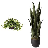 Nearly Natural Pothos with Decorative Vase Silk Plant and Nearly Natural Sansevieria with Black Planter