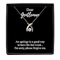I'm Sorry Gentleman Necklace Funny Reconciliation Gift Apologize Pendant A Way To Have The Last Word Quote Chain Sterling Silver With Box