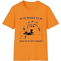 It is What It is and It is Not Great Shirt, It is What It is Tshirt Womens Raccoon T-Shirt