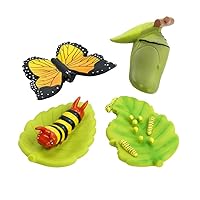 Excellerations earlySTEM My First Soft Butterfly Life Cycle - 4 Models