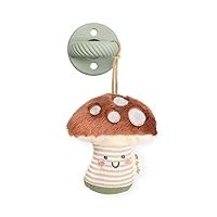 Itzy Ritzy Pacifier and Lovey Set; Detachable Plush Mushroom and Coordinating Green Silicone Pacifier; Ideal for Ages 0 Months and Up, Mushroom