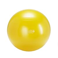GYMNIC Classic Plus Burst-Resistant Exercise Ball