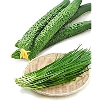 Bundle Vegetable Seeds: Chinse Cucumber Seeds + Chinese Garlic Chive Seeds