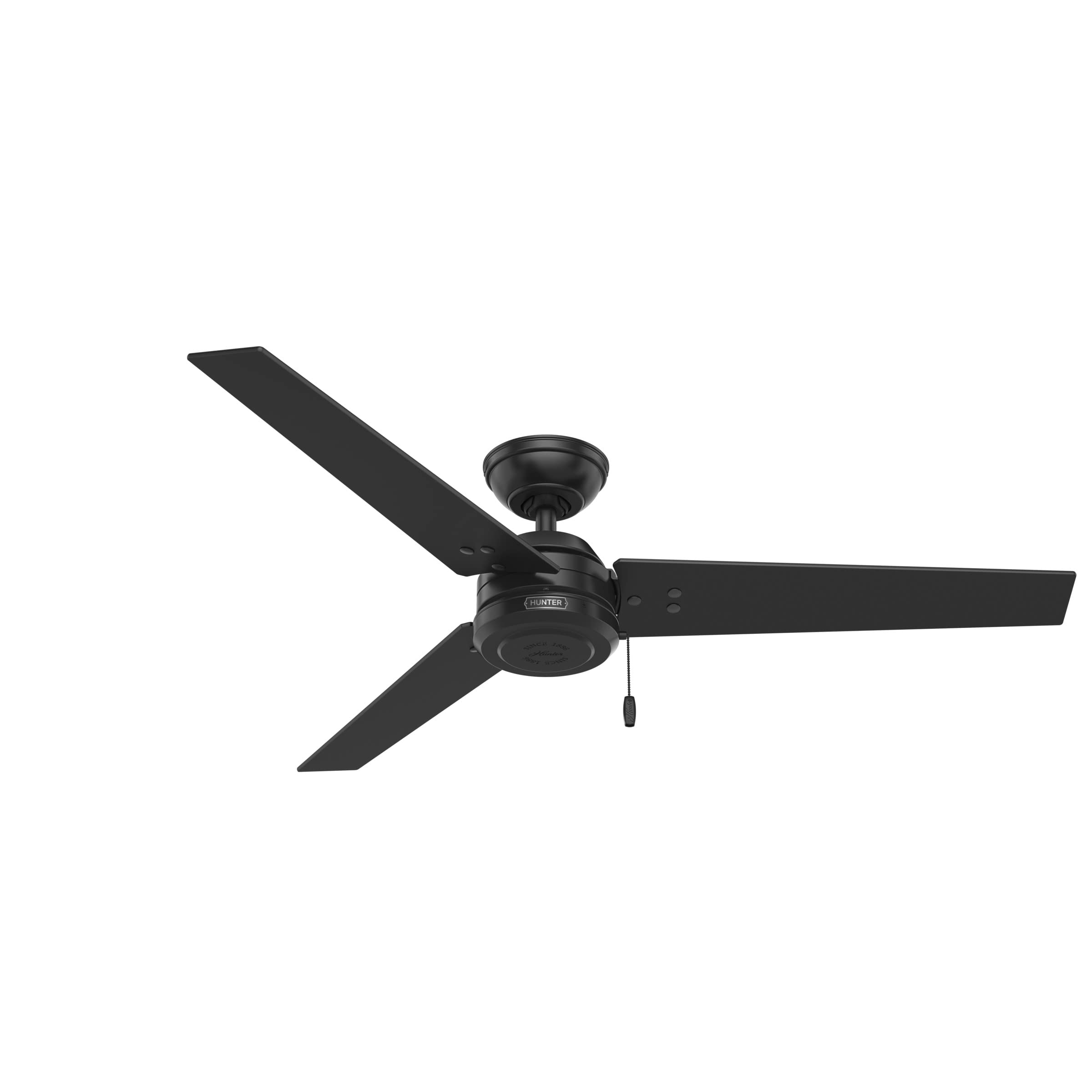 Hunter Cassius Indoor / Outdoor Ceiling Fan with Pull Chain Control, 52