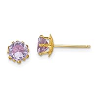14k Yellow Gold Polished Post Earrings 5mm Simulated Amethyst (Feb) Earrings Measures 5x5mm Jewelry for Women