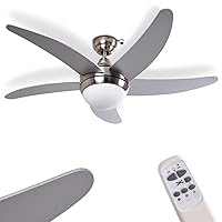 Ceiling fan