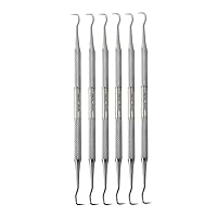 6 Pcs Dental Care Tool Scaler 30/33 to Remove Plaque and Tartar at Home Made of Stainless Steel with Precision Tips Knurled Handle Design for Firm Grip to Remove Teeth Stain Pet Oral Hygiene Care