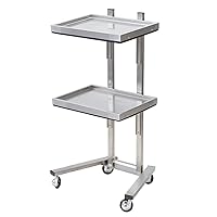 Rolling Tool Trolley Cart with Double Storage Tray,Stainless Steel Utility Instrument Tray Stand with Wheels for Beauty Hair Salon Tattoo Spa Clinic Medical Studio Home (Color:Silver)