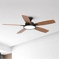 TALOYA 52 inch Ceiling Fans with Lights,Ultra Silent Multifunctional Ceiling Fan with Three Color Temperature and Dimmable Light with Reversible Blades Black