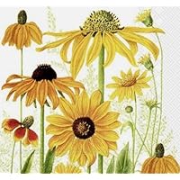 2 Set of 4 Individual Black Eyed Susan Flowers Paper Luncheon Napkins, Luncheon Napkins Decoupage, Art and Craft Projects - Eb5