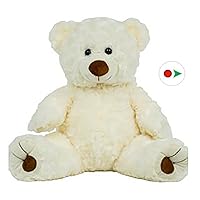 Record Your Own Plush 16 Inch White Twist Bear - Ready 2 Love in a Few Easy Steps
