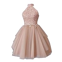 High Neck Halter A line Tulle Lace Top Short Homecoming Cocktail Prom Party Dresses Keyhole Back 2024