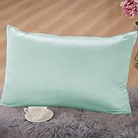 THXSILK 100% Pure Mulberry Silk Pillowcase with Cotton Underside for Hair and Skin, Luxury Mulberry Silk Pillow Cases with Hidden Zipper Closure, Queen, Light Blue