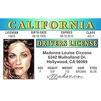 Madonna aka Madonna Louise Ciccone Novelty Drivers License / Fake I.d. Identification for Evita / Like A Virgin Fans