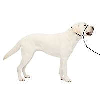 PetSafe Gentle Leader No-Pull Dog Headcollar - The Ultimate Solution to Pulling - Redirects Your Dog's Pulling For Easier Walks - Helps You Regain Control - Large, Black