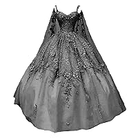 Women's Spaghetti Straps Floral Quinceanera Dresses Long Sleeve Sweet 16 Prom Party Ball Gown