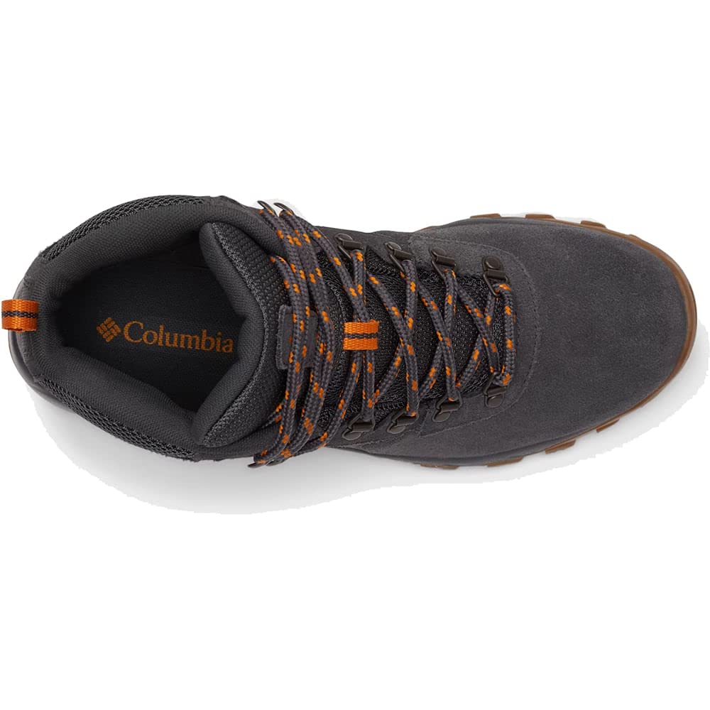 Columbia Men's Newton Ridge Plus Ii Suede Wp Hiking Boot
