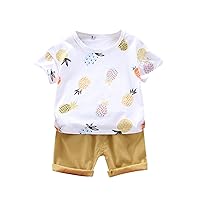 Size 6t Boy Outfits T-Shirt Toddler Boys Fruit Casual Sports Set Summer Pineapple Short Baby Toddler (White, 1-2 Years)