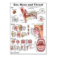 Ear Nose Throat Anatomy Poster 12x17inch, Otolaryngology-Waterproof