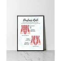 Diastasis Recti Pelvic Floor Art Poster, Pelvic Floor Physical Therapist, Pelvic Floor Anatomy Health, Pelvic Floor Art, Transversus Abdominis, Pelvic Floor Therapy Vertical Poster And Canvas