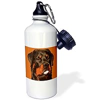 3dRose Cartoon Style Nerdy Rottie Sticking Tongue Out - Water Bottles (wb_357086_1)