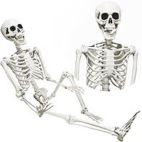 5.4ft/165cm Halloween Skeleton, Halloween Plastic Human Realistic Skeletons Life Size Full Body Bones with Movable Joints for Halloween Props Spooky Scene Party Decoration