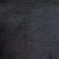 Faux Fake Fur Solid Velboa Black 60 Inch Fabric by the Yard (F.E.