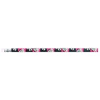 Party Favor Pencils 12/Pkg-Pirate