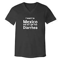 I Went To Mexico And All I Got Was Diarrhea - Adult Bella + Canvas 3005 Men's V-Neck T-Shirt