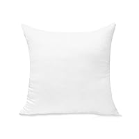 Throw Pillow Inserts Hypoallergenic Premium Pillow Stuffer Square Form for Decorative Pillow Covers Cushion Bed Couch Sofa Set of 1-20 x 20 Inches