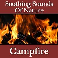 Burning Leaves Burning Leaves MP3 Music