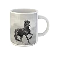 Coffee Mug Gray Horse Black Stallion Orange Wild Sunshine Fast Forward 11 Oz Ceramic Tea Cup Mugs Best Gift Or Souvenir For Family Friends Coworkers