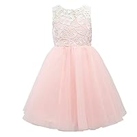 Miama Blush Pink Lace Tulle Wedding Flower Girl Dress Junior Bridesmaid Dress