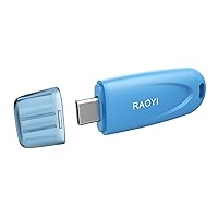 RAOYI 256GB USB C Flash Drive USB 3.1 Type C Flash Drive USB-C Thumb Drive Portable Memory Stick with Keyring Hole High-Speed Pen Drive for Laptop Smartphone Tablet Mac Type-C Devices, Blue