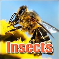 Insect, Locust - Insect Buzz, Animal Insects, Blockbuster Sound Effects