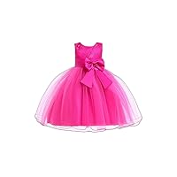 Kids Little Girls' Dress Solid Colored Flower Tulle Dress Wedding Party Layered