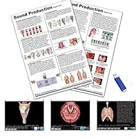 Sound Production Anatomy Card with Larynx, Vocal Folds and Respiration Software, Vocal Folds-Intrinsic Muscles-Phonation-Resonance