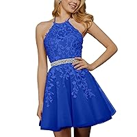 Tulle Homecoming Dresses for Teens 2024 Lace Applique Halter Short Prom Dresses Sparkly Beaded Formal Party Gowns A-Blue