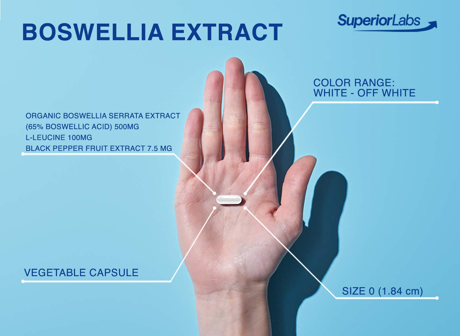 Superior Labs Boswellia Extract - Pure Non GMO Boswellic 65% Acids. Superior Absorption Zero Synthetic Additives - Powerful Formula Joint, Knees, Hips, Immune, 500mg SVG, 240 Veg Capsules