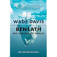 Beneath the Surface of Things: New and Selected Essays