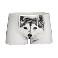 Boys Boxer Briefs, Siberian Husky In The Snow Teenagers Soft Cotton Briefs Boys Mid-Rise Boxer Briefs